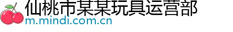 仙桃市某某玩具运营部